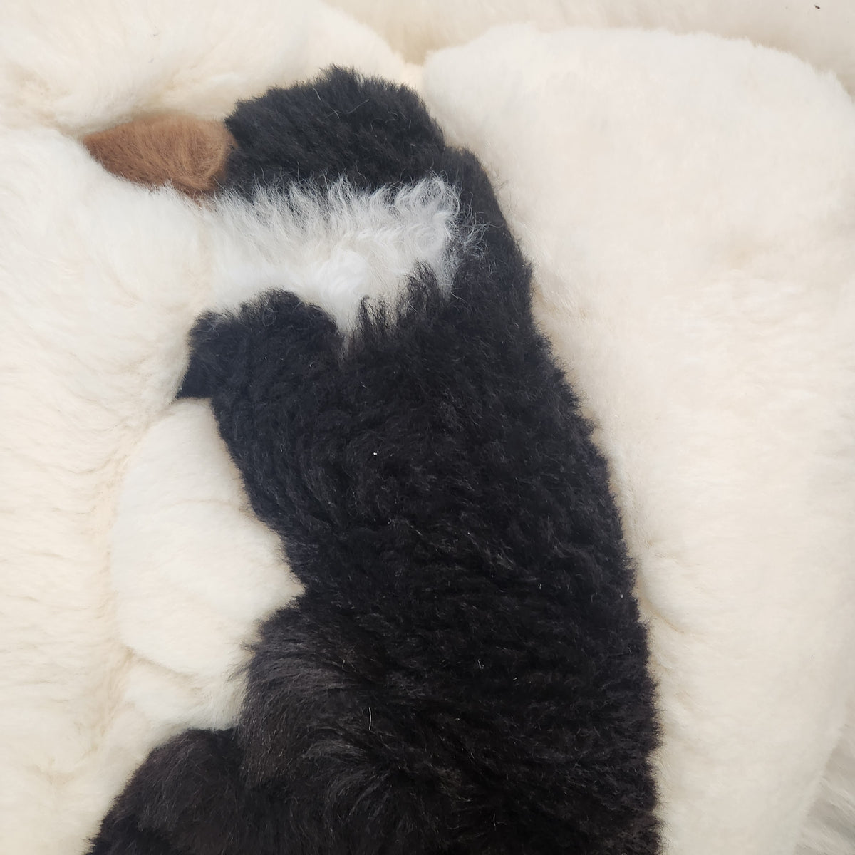 Vintage alpaca fur penguin pillow from Peru, front view of the black penguin motif on ivory plush fur closer up