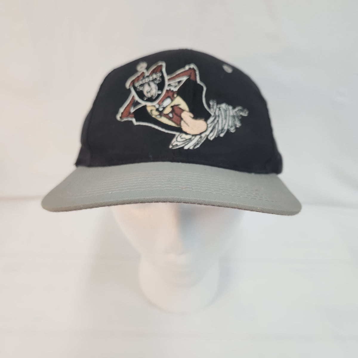 Vintage 1993 Looney Tunes Tasmanian Devil (Taz) Los Angeles Raiders snapback hat