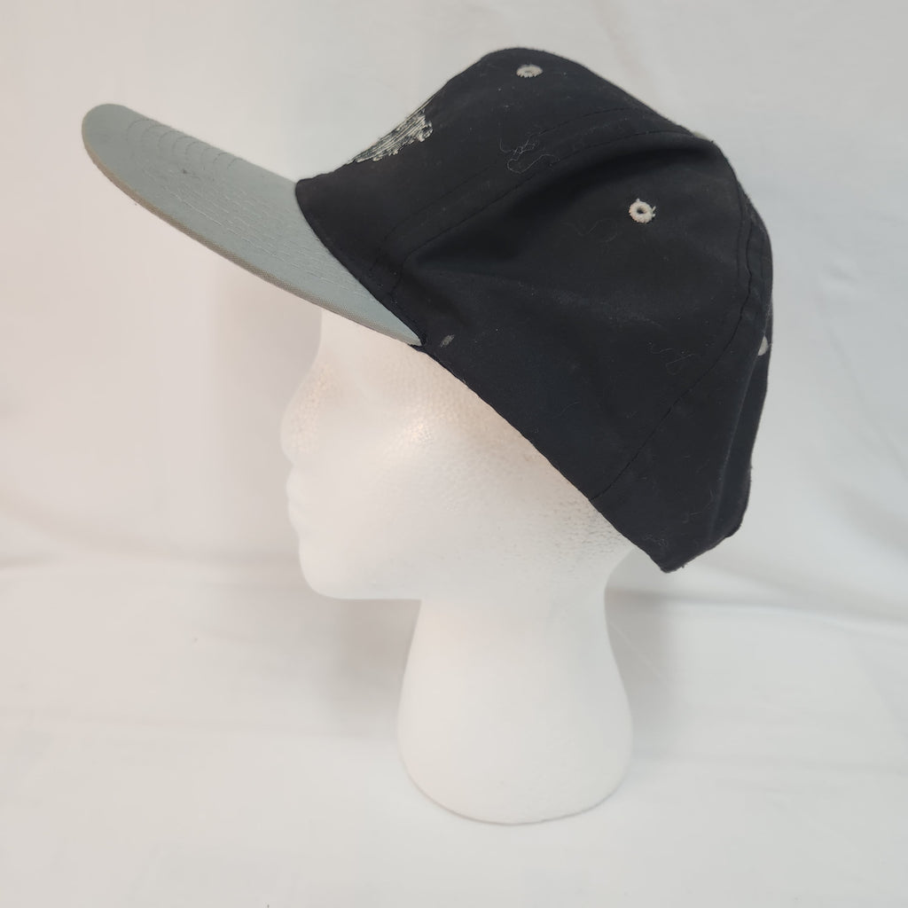 Vintage 1993 Looney Tunes Tasmanian Devil (Taz) Los Angeles Raiders snapback hat