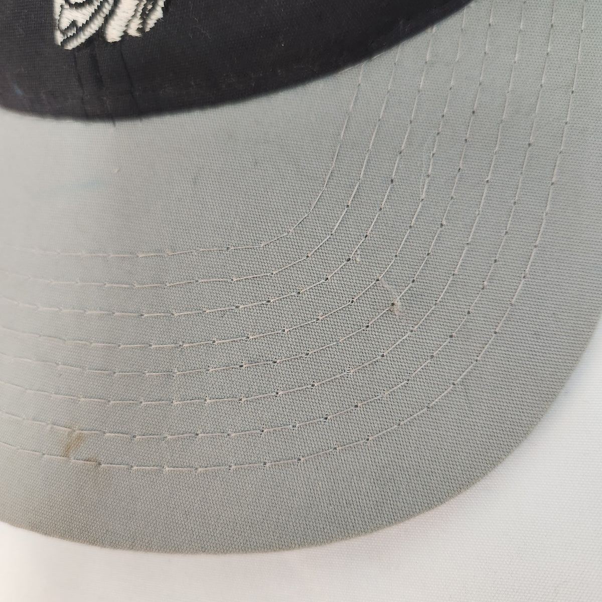 Vintage 1993 Looney Tunes Tasmanian Devil (Taz) Los Angeles Raiders snapback hat