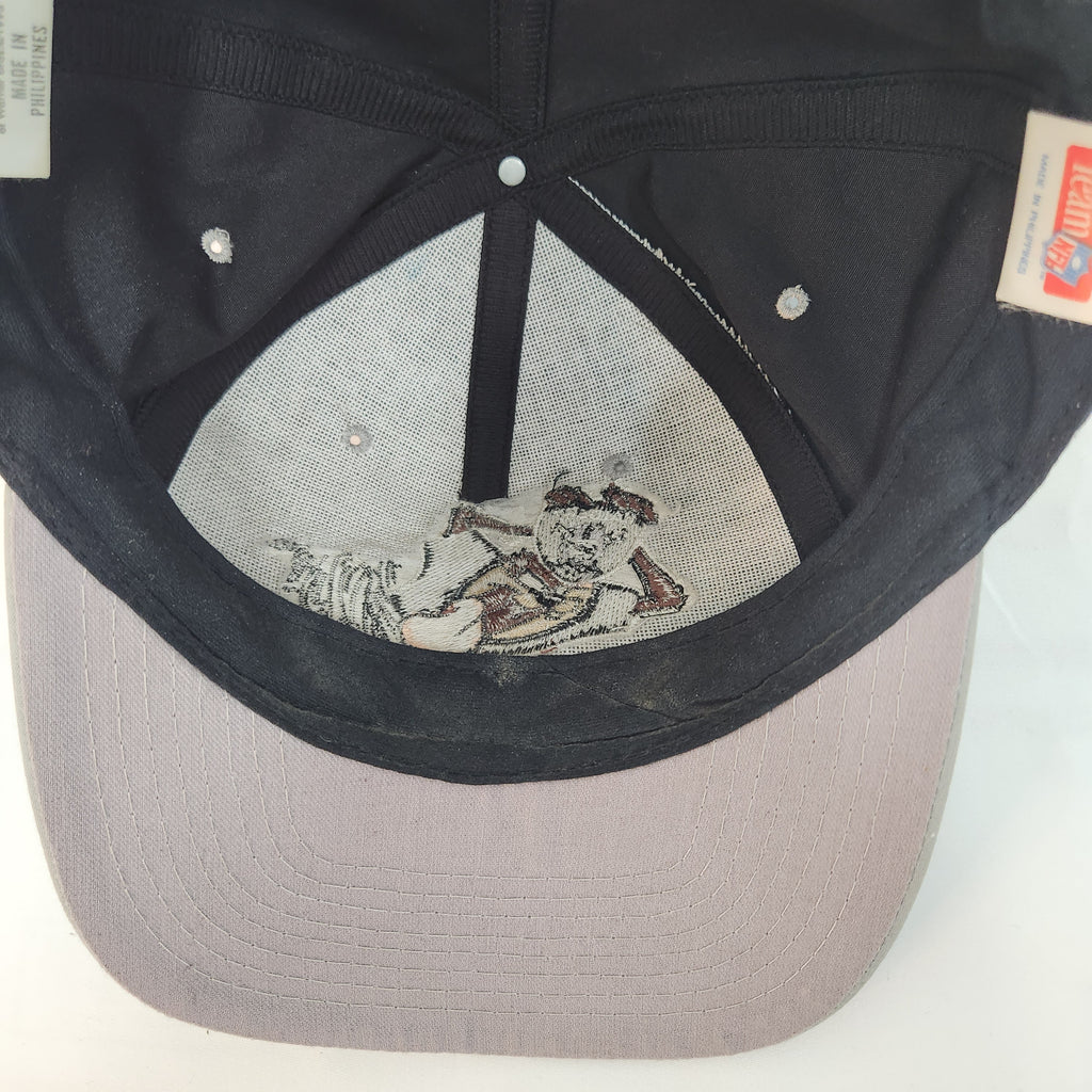 Vintage 1993 Looney Tunes Tasmanian Devil (Taz) Los Angeles Raiders snapback hat
